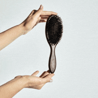 brosse poils sanglier